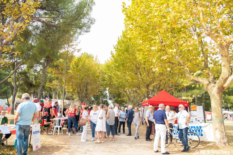 Edition 2019 - Journée des associations - Journee-Associations_Family-Run_14-09-19-13.jpg Journee-Associations_Family-Run_14-09-19-13.jpg