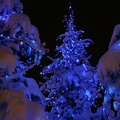 neige-nuit019.JPG
