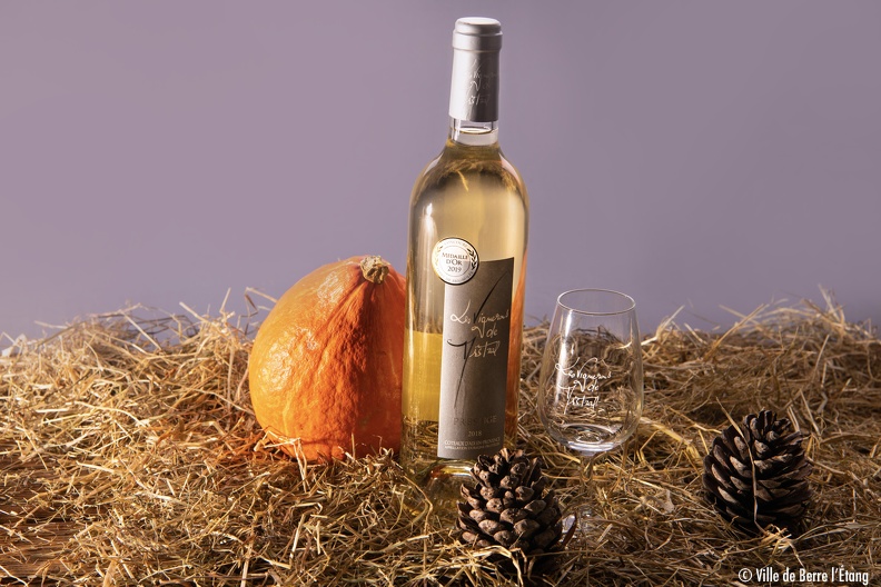 Mr BALLATORE_Cooperative-viticole_2019-10-31-2.jpg