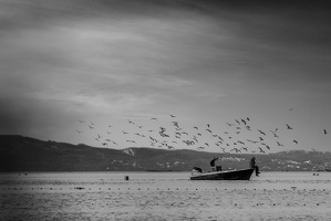 Pêche en noir et blanc