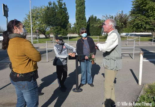 Herbes sauvages - display this album Herbes sauvages