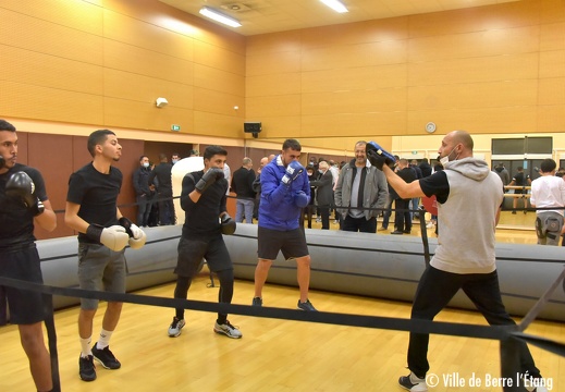 Séance luxe de boxe - display this album Séance luxe de boxe