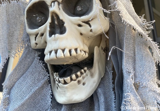 Personnages d'Halloween