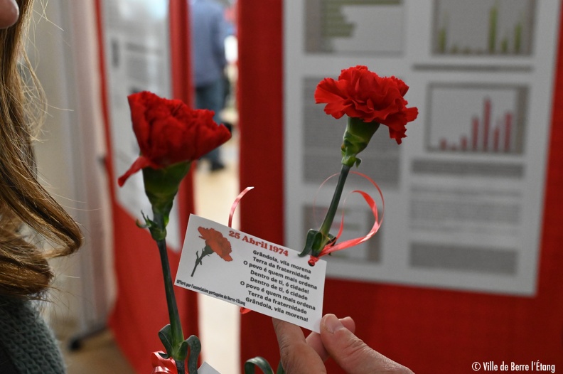 La révolution des oeillets - DSC_1828.JPG DSC_1828.JPG