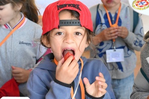 Salon des Agricultures de Pce