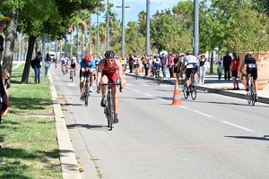 Édition 2024 - Triathlon