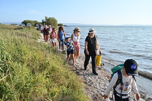 Balade contée en bord d'étang