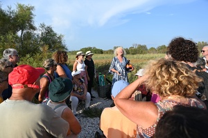 Balade contée en bord d'étang