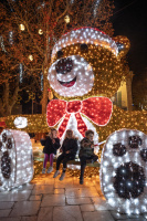 Édition 2024 - Lancement des illuminations