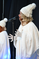 Marché de Noël, spectacle et roller