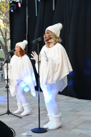 Marché de Noël, spectacle et roller