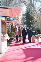 Marché et animations de Noël