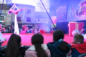 Marché et spectacle de Noël