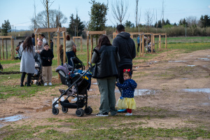 Un arbre, un enfant