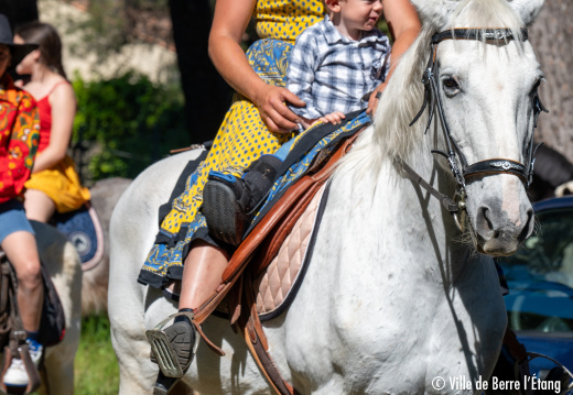 Bénédiction des chevaux