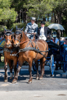 1er mai - Bénédiction des chevaux