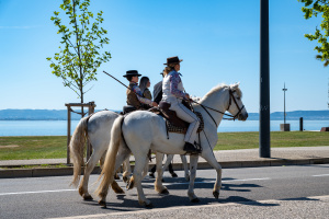 1er mai - Bénédiction des chevaux