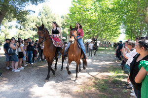 1er mai - Bénédiction des chevaux