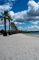 Travaux plage littorale