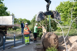 Pose du 1er arbre de l'éco-quartier
