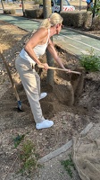 Pose du 1er arbre de l'éco-quartier