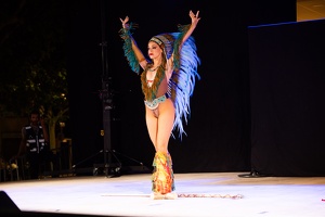 Edition 2025 - Spectacle 14 juillet