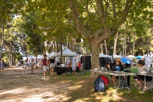 Edition 2025 - Journée des associations