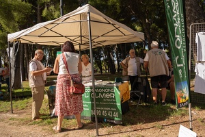 Edition 2025 - Journée des associations