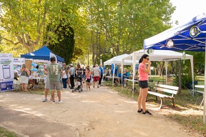 Edition 2025 - Journée des associations