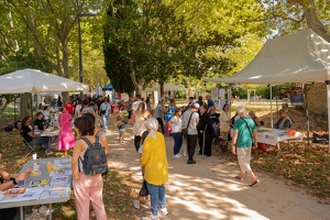 Edition 2025 - Journée des associations