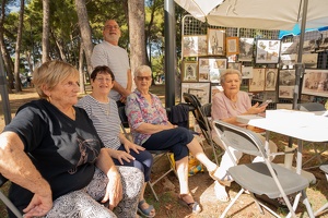 Edition 2025 - Journée des associations