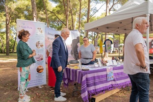 Edition 2025 - Journée des associations