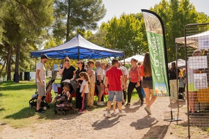 Edition 2025 - Journée des associations