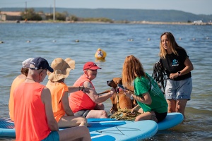 Cani-paddle avec nos séniors