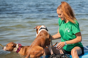 Cani-paddle avec nos séniors