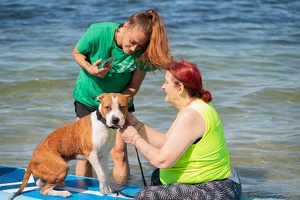 Cani-paddle avec nos séniors