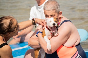 Cani-paddle avec nos séniors