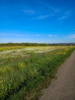 Randonnée Plage de Bouquet
