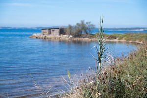 Randonnée Plage de Bouquet