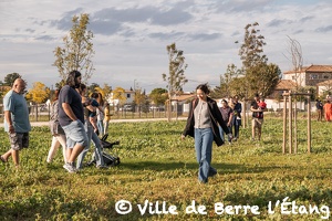 Édition 2025 - Un enfant, un arbre