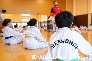 Entrainement de Taekwondo