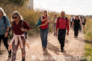Randonnée en terres agricoles