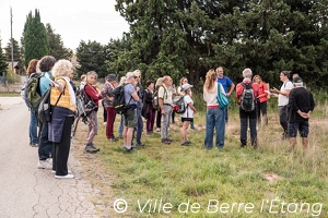 Randonnée en terres agricoles