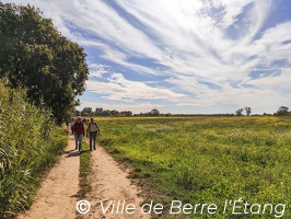 Randonnée en terres agricoles