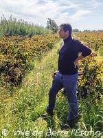 Randonnée en terres agricoles
