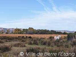 Randonnée en terres agricoles