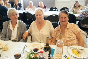 Repas d'automne des séniors