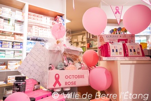 Édition 2025 - Octobre Rose