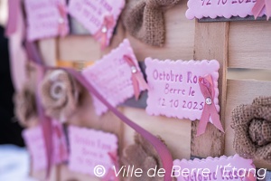 Édition 2025 - Octobre Rose