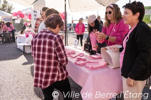 Édition 2025 - Octobre Rose